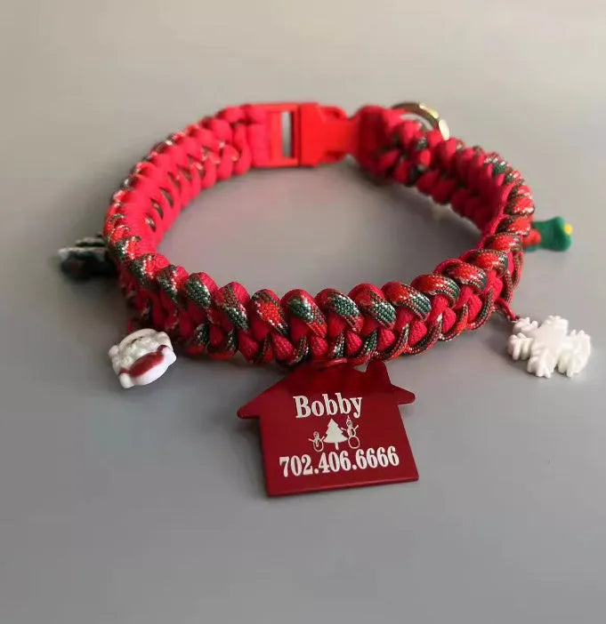 Green rope dog leash with P chain weave and a quick-release buckle laid out flat.