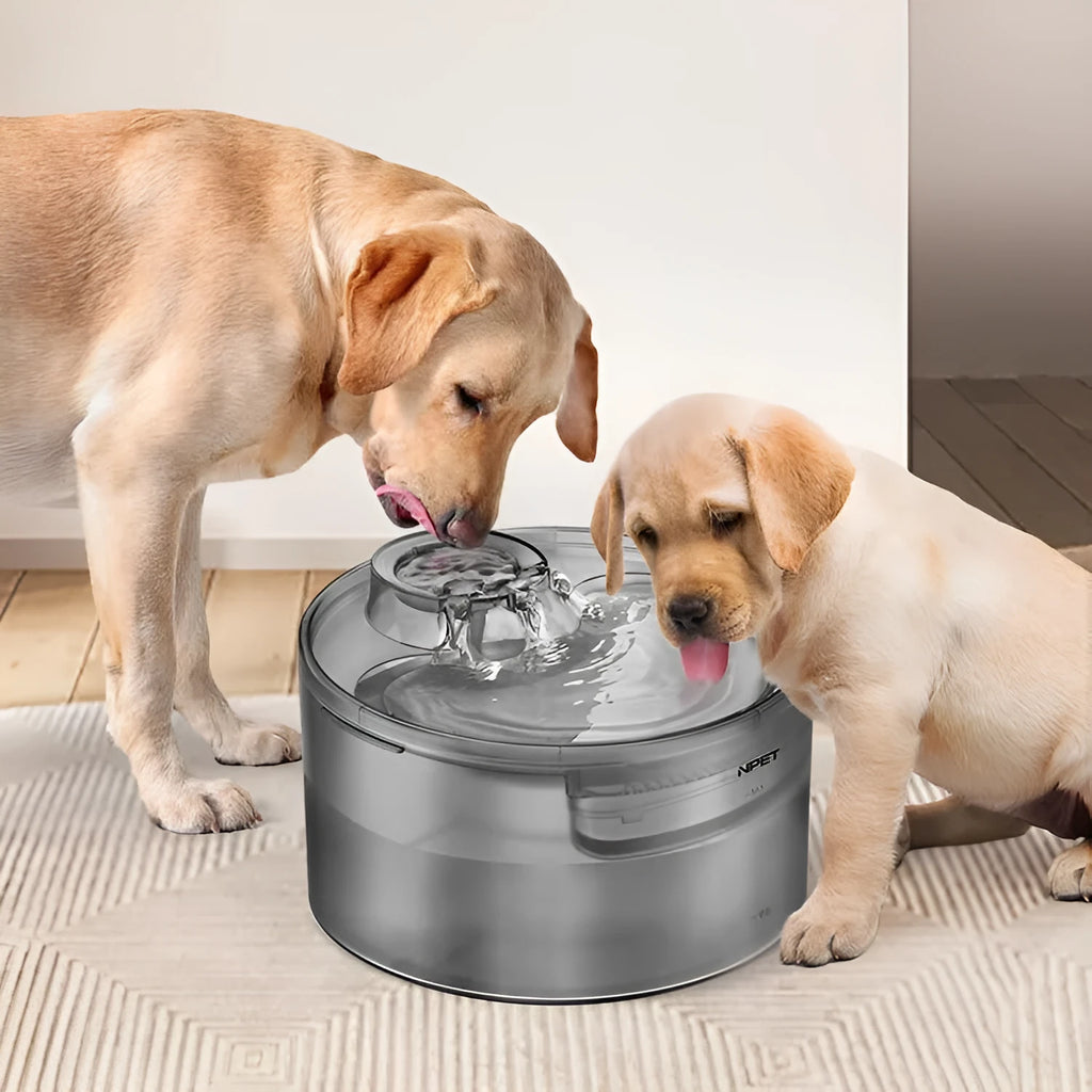 Automatic pet water dispenser with circulating water system for cats and dogs, showing water fountain feature