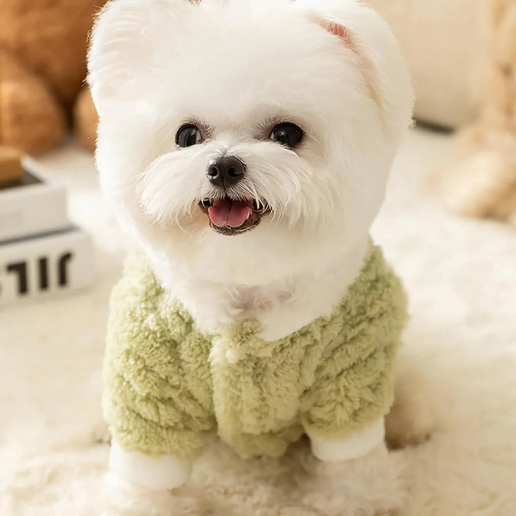 Green plush fleece dog hoodie with 3D frog face, white trim, and D-ring on belt for lead attachment.