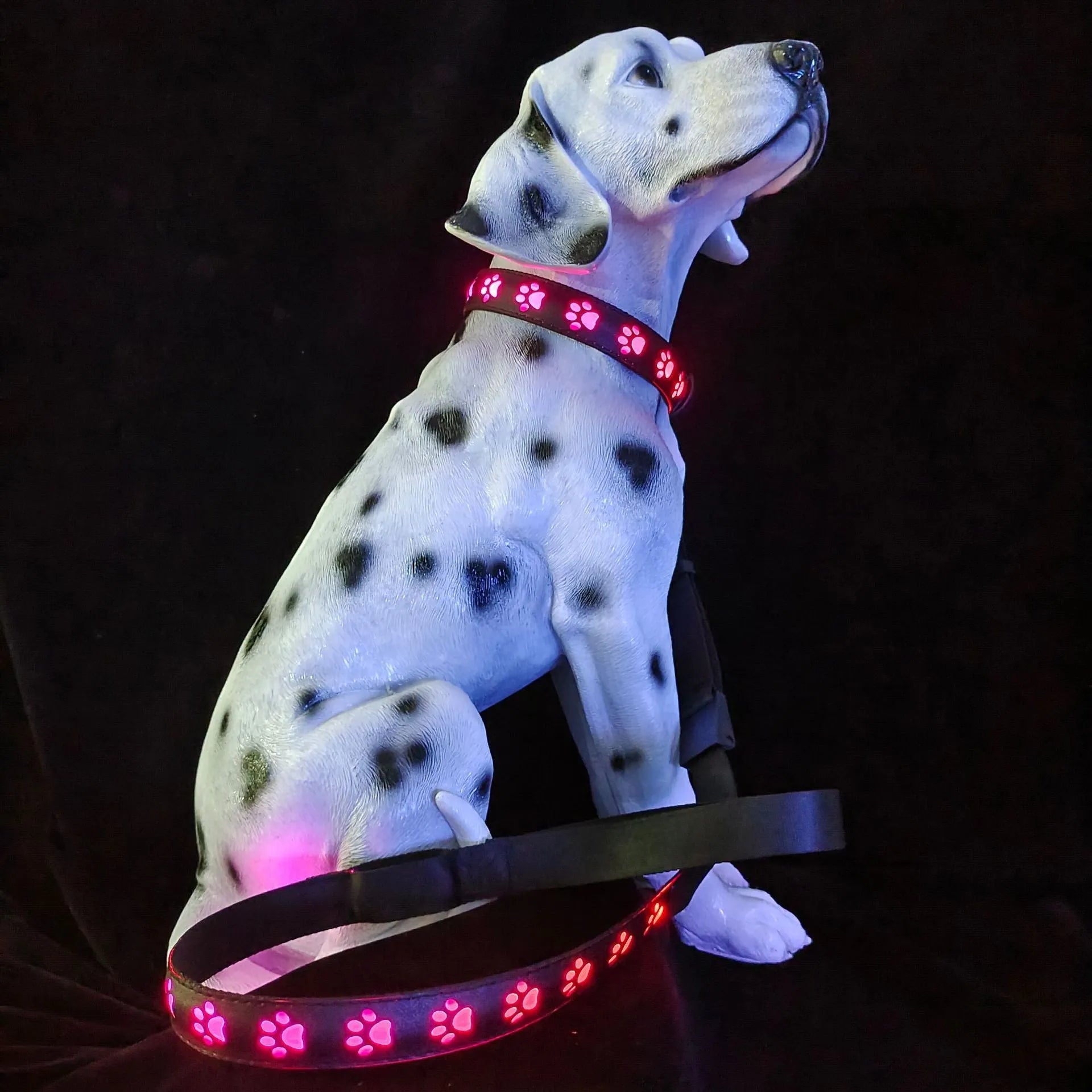 LED light up dog collar with paw print pattern showing multiple colours on a black strap.