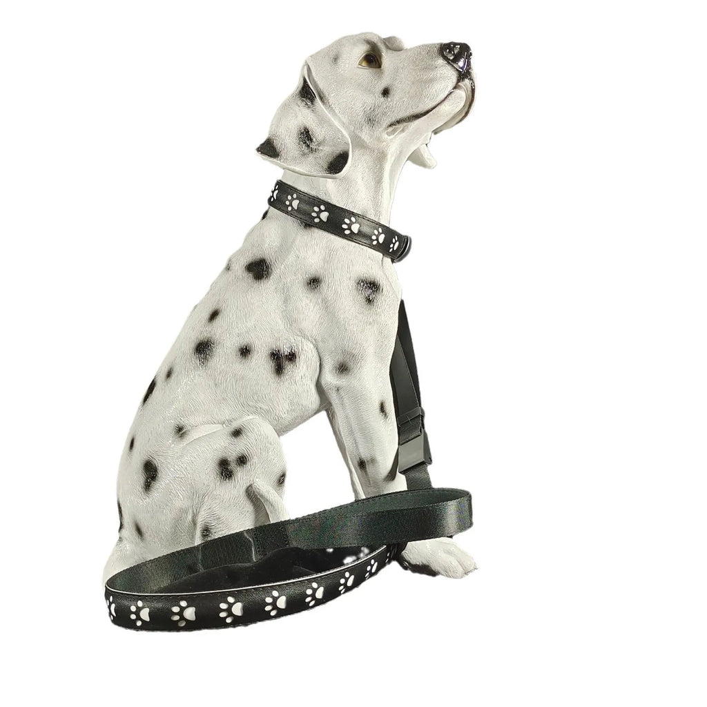 LED light up dog collar with paw print pattern showing multiple colours on a black strap.
