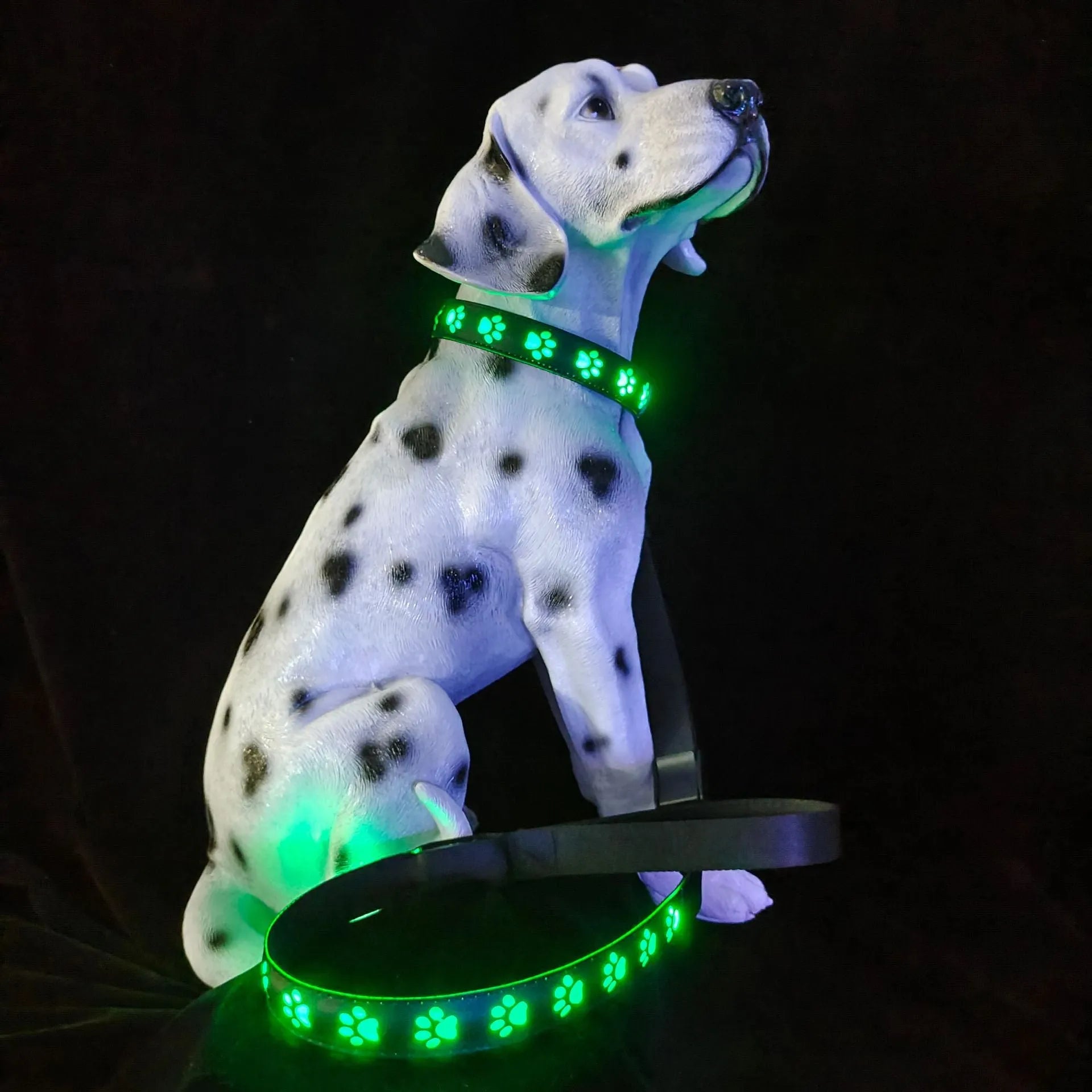 LED light up dog collar with paw print pattern showing multiple colours on a black strap.