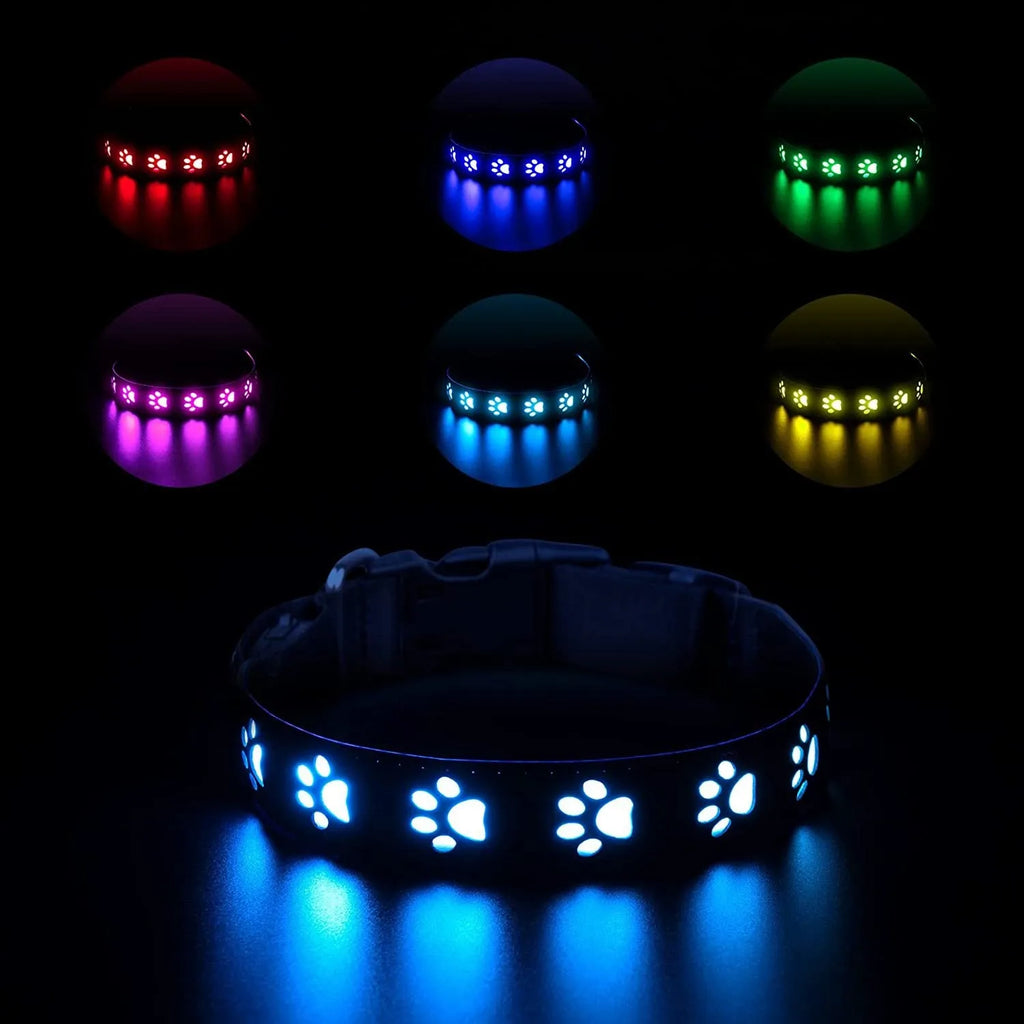 LED light up dog collar with paw print pattern showing multiple colours on a black strap.