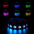 LED light up dog collar with paw print pattern showing multiple colours on a black strap.