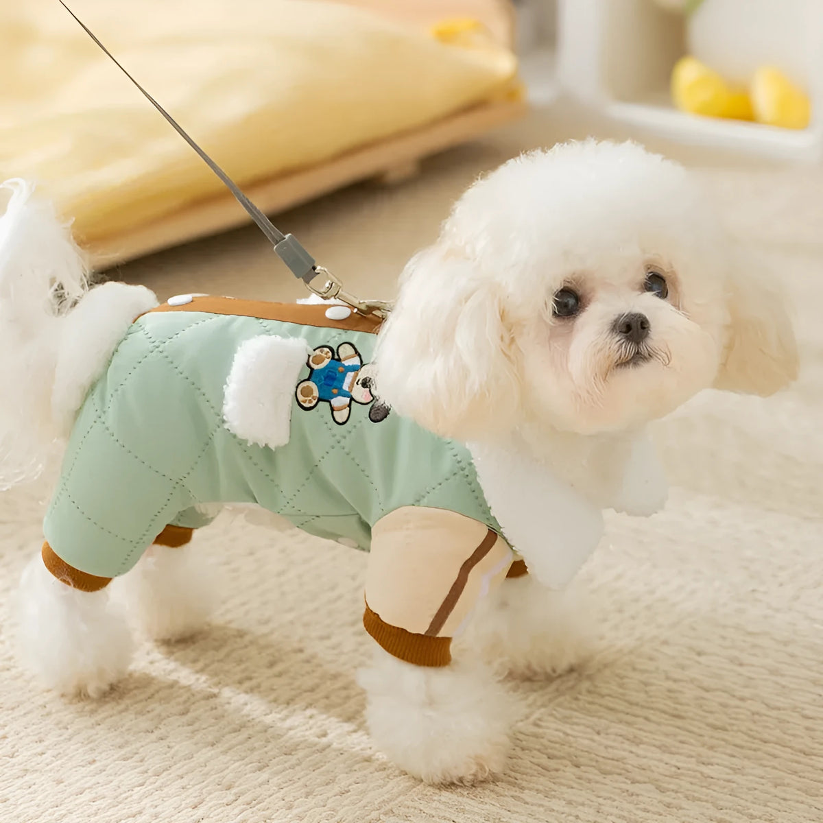 Warm thick Maillard pocket patch four-legged cotton coat for dogs in green, lying on a surface