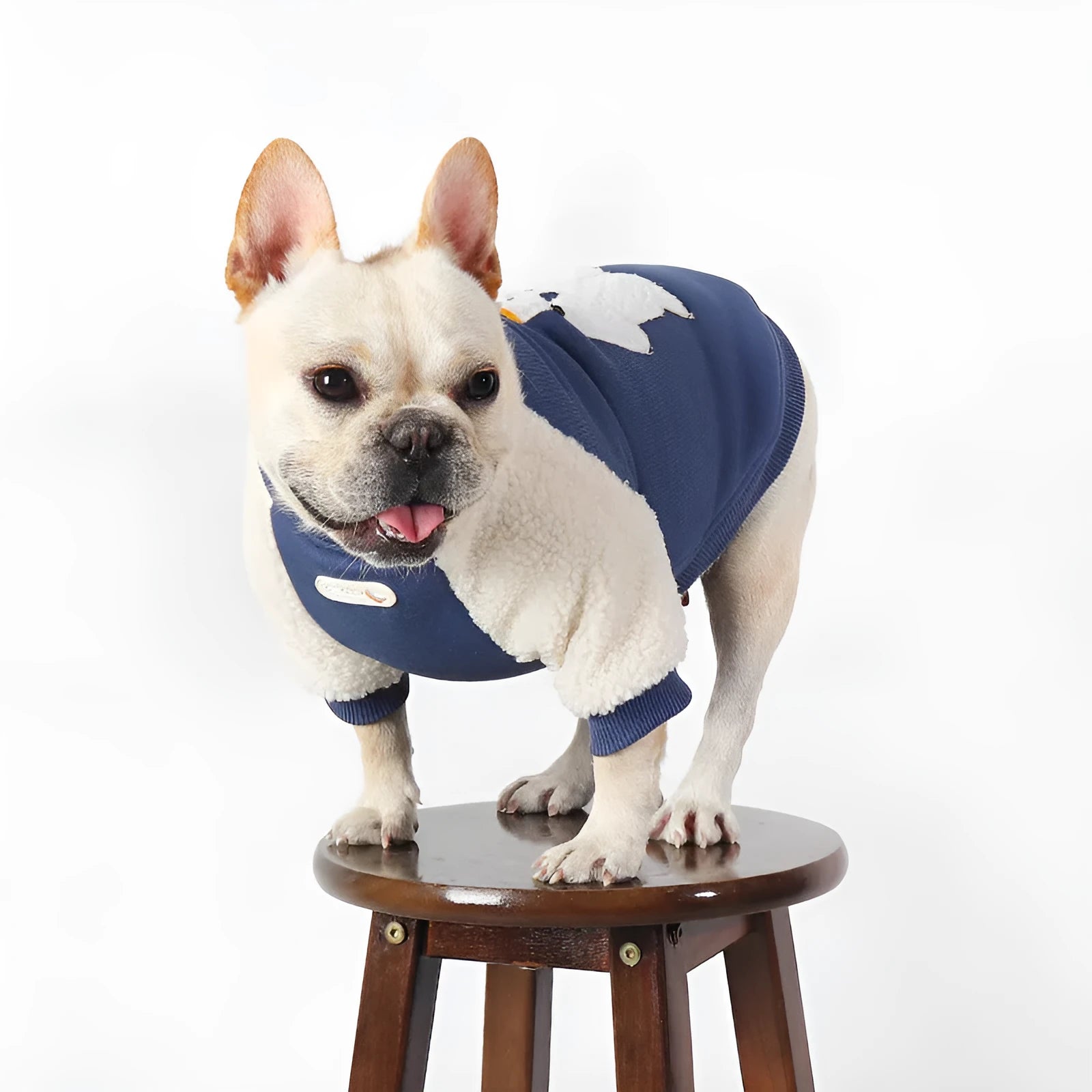 Dark blue fleece-lined dog winter coat with cotton outer material in size L