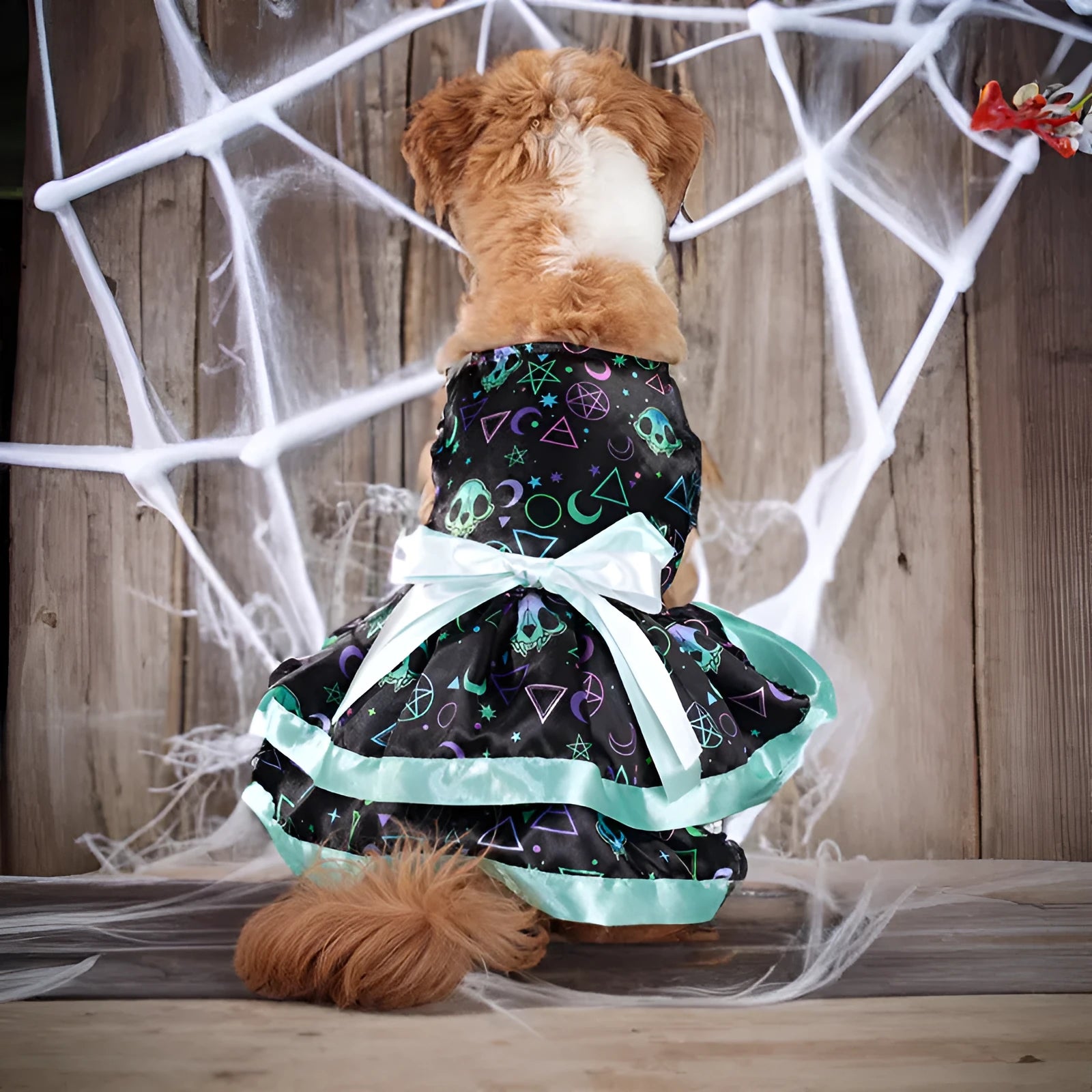 Double-layer dog Halloween skirt with colourful pumpkin or skull pattern