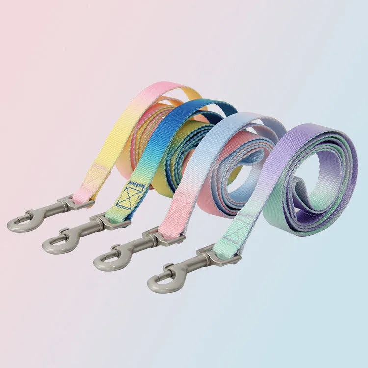 Multicolour gradient dog leash set with nylon collar, harness, and lead in pink blue yellow purple green combinations