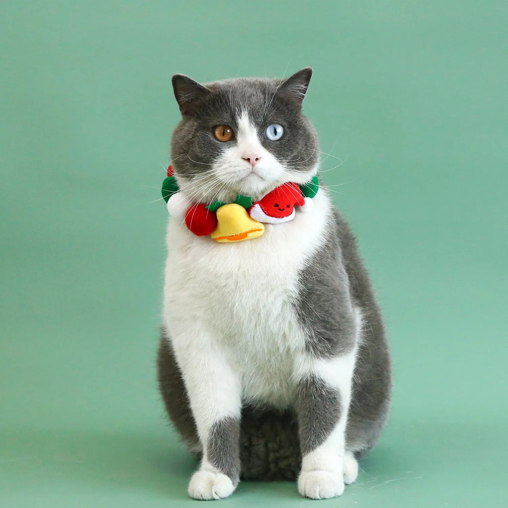 Christmas Series Pet Ball Collar in Bell hat ball style on a pet, plush material, size M