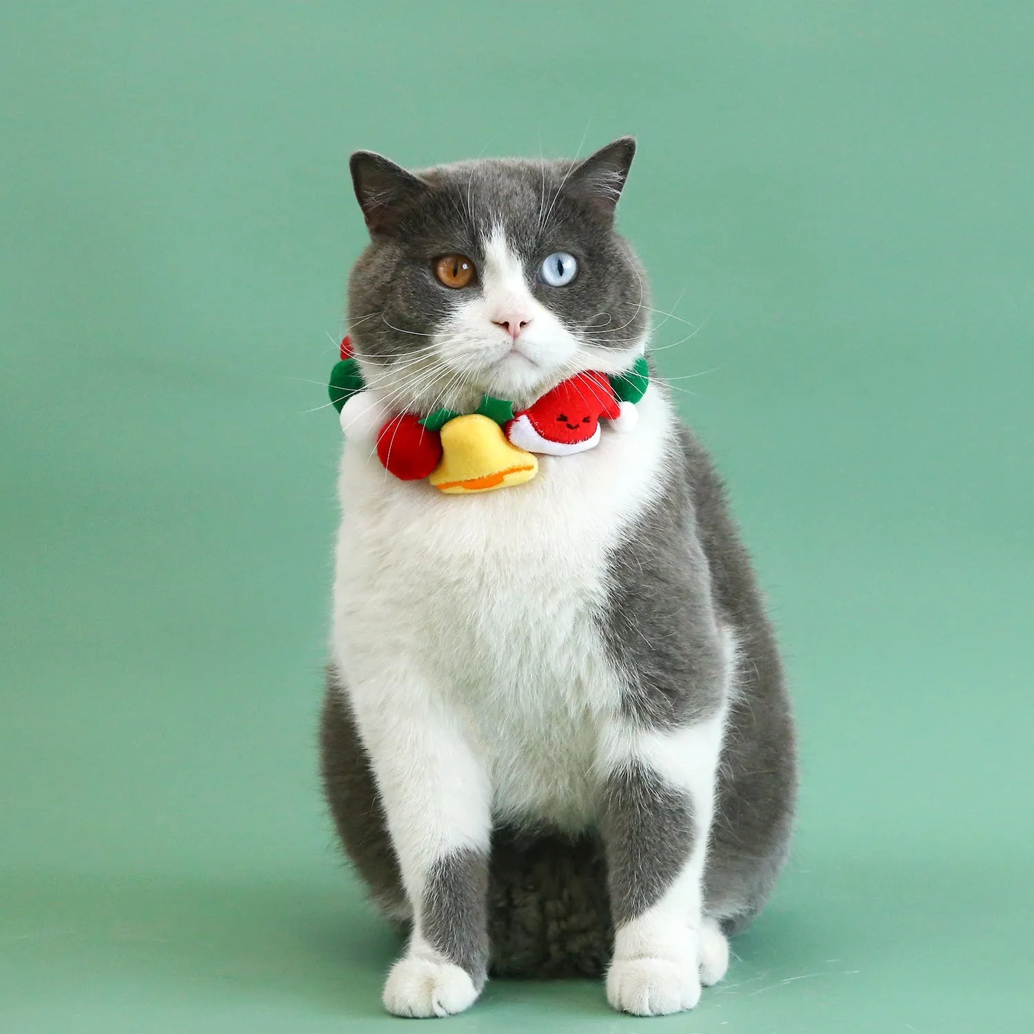 Christmas Series Pet Ball Collar in Bell hat ball style on a pet, plush material, size M