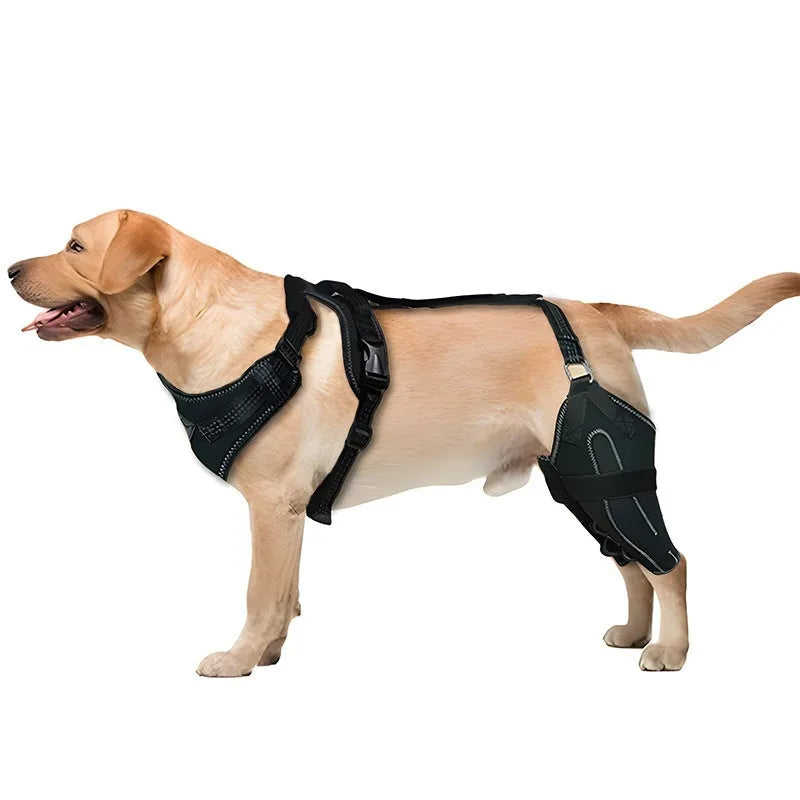 Black dog thigh protective sleeve with adjustable metal support for postoperative recovery in three sizes