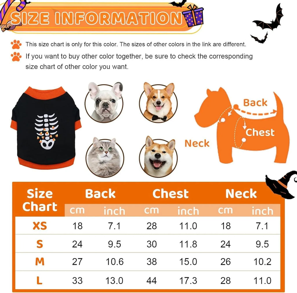 Orange Halloween dog sweatshirt with skeleton print on small Dachshund