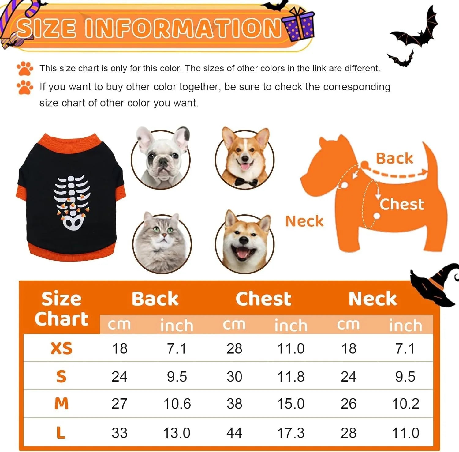 Orange Halloween dog sweatshirt with skeleton print on small Dachshund