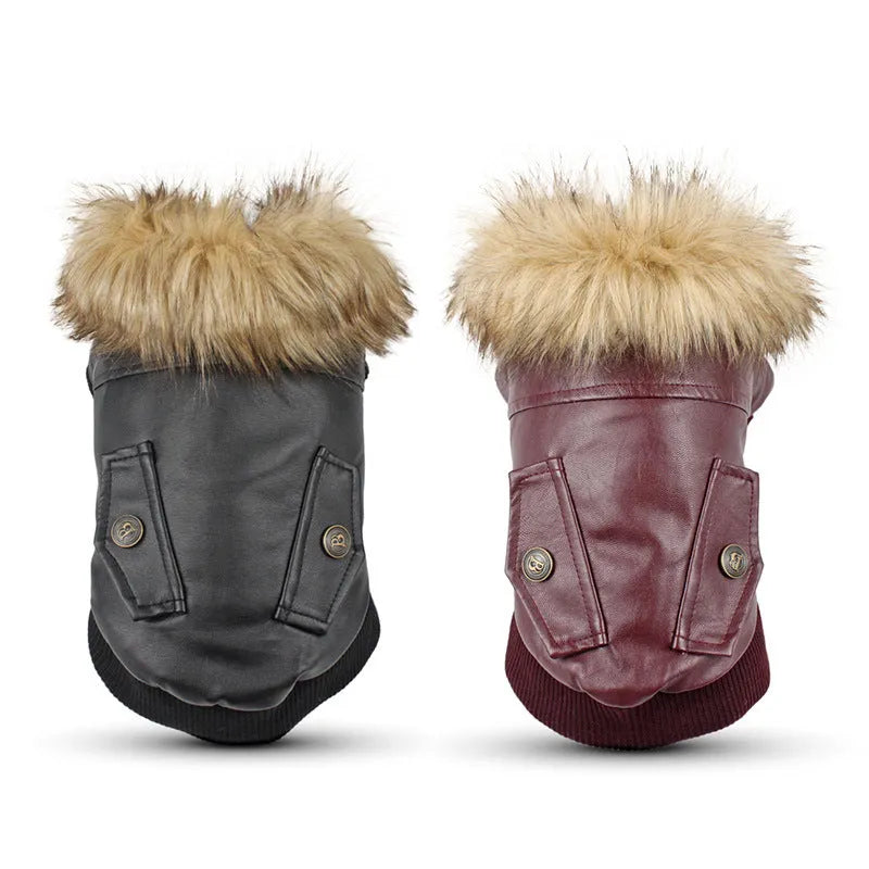 British style leather dog coat with fur collar in black colour