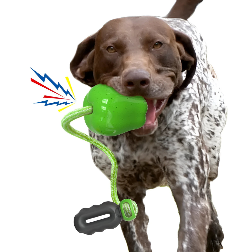 Green and red plastic dog toy with food dropping ball and molar chew design