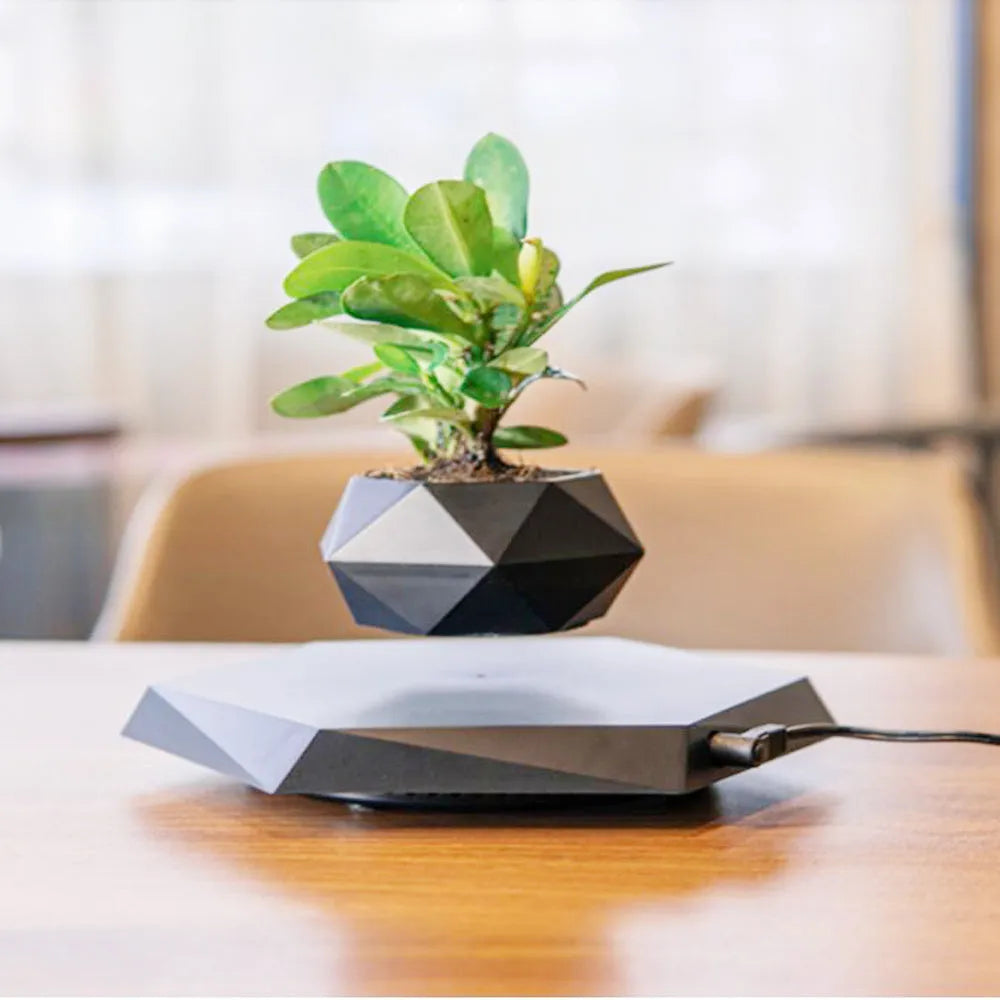 Hexagonal wood grain plant pot floating above circular base with magnetic levitation