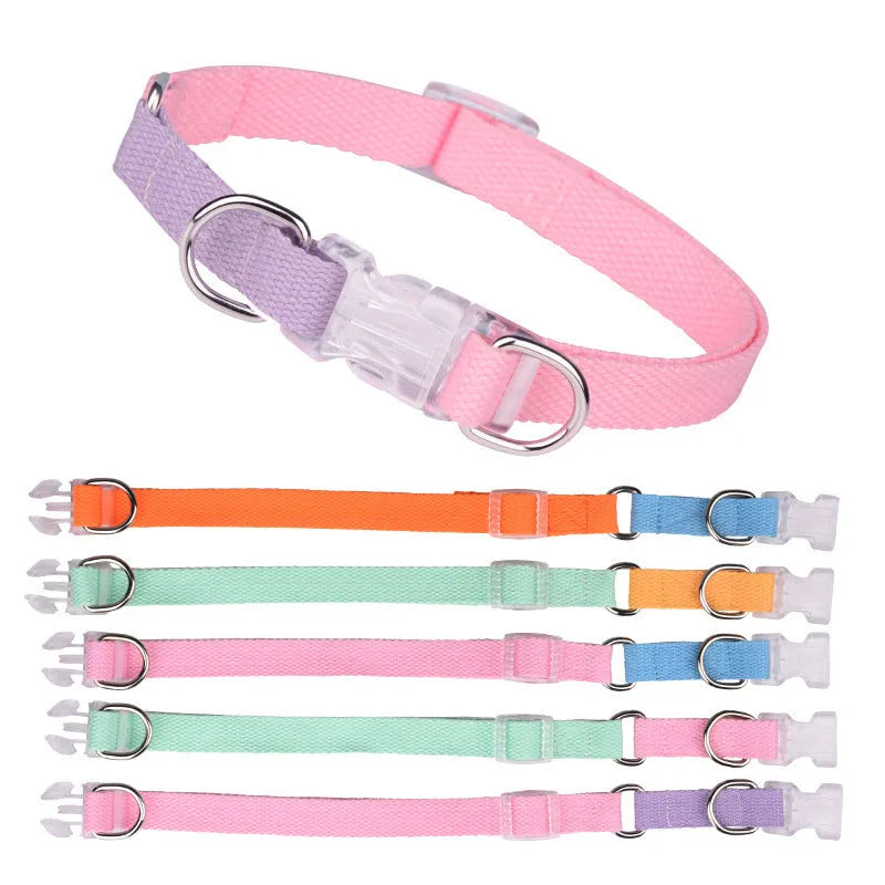 Polyester ribbon dog collar set with matching hand-holding rope and chest strap in multiple colour options