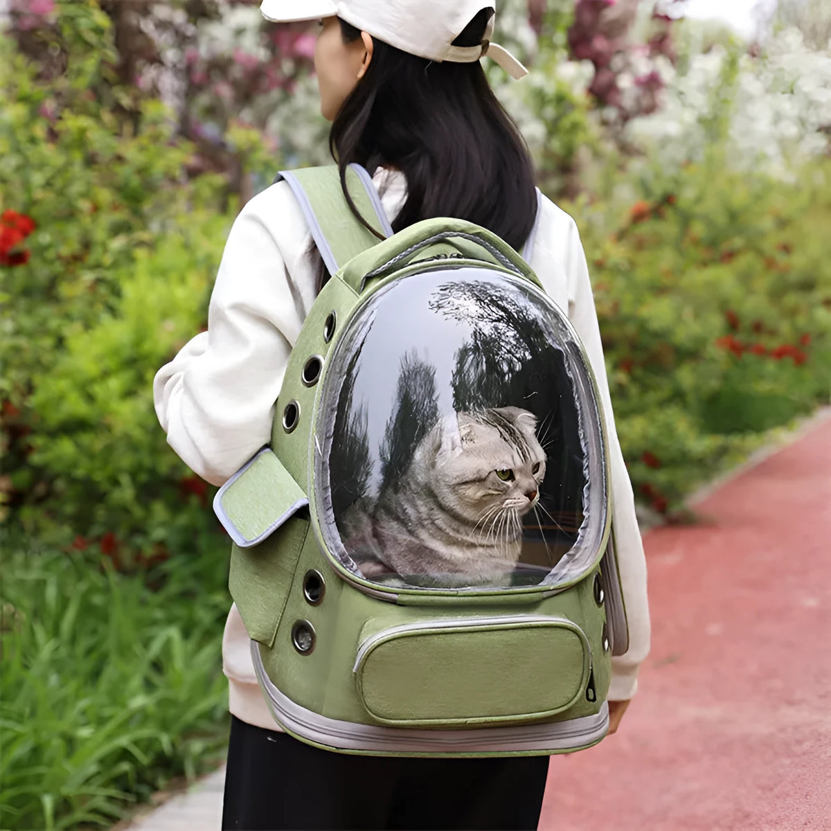 Portable transparent pet backpack for cats and small dogs up to 6.5kg in black, grey, green, or khaki