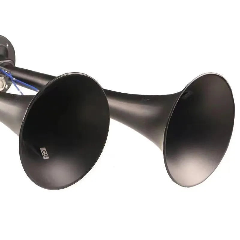 Black 12V 24V 300DB dual trumpet air horn and compressor kit for universal vehicle fitment.
