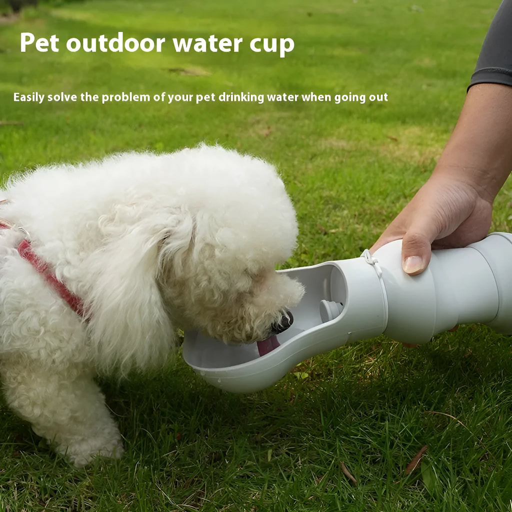 Silicone folding pet drinking cup shown collapsed and expanded for dog or cat use outdoors