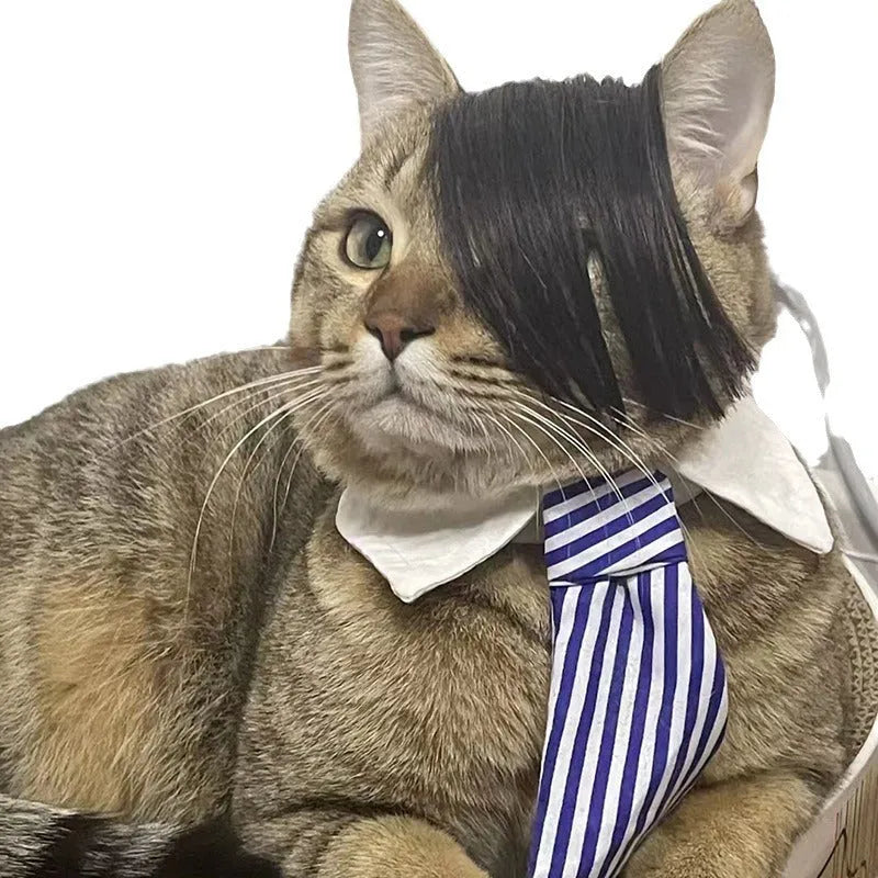 Black polyester cat wig with imitation braid design on a cat