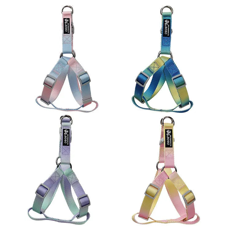 Multicolour gradient dog leash set with nylon collar, harness, and lead in pink blue yellow purple green combinations