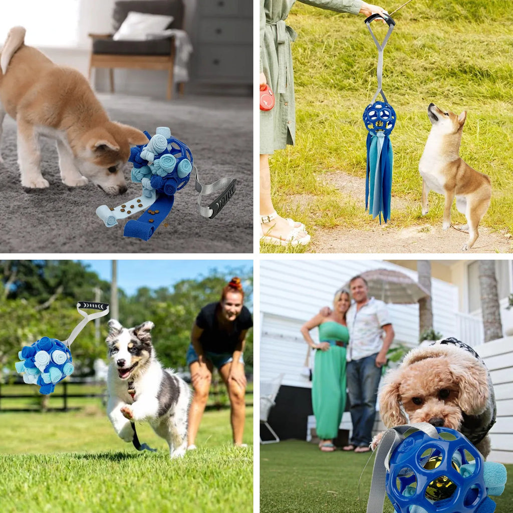 Interactive hollow ball pet toy with TPR sound mechanism in multiple colours for dogs and cats