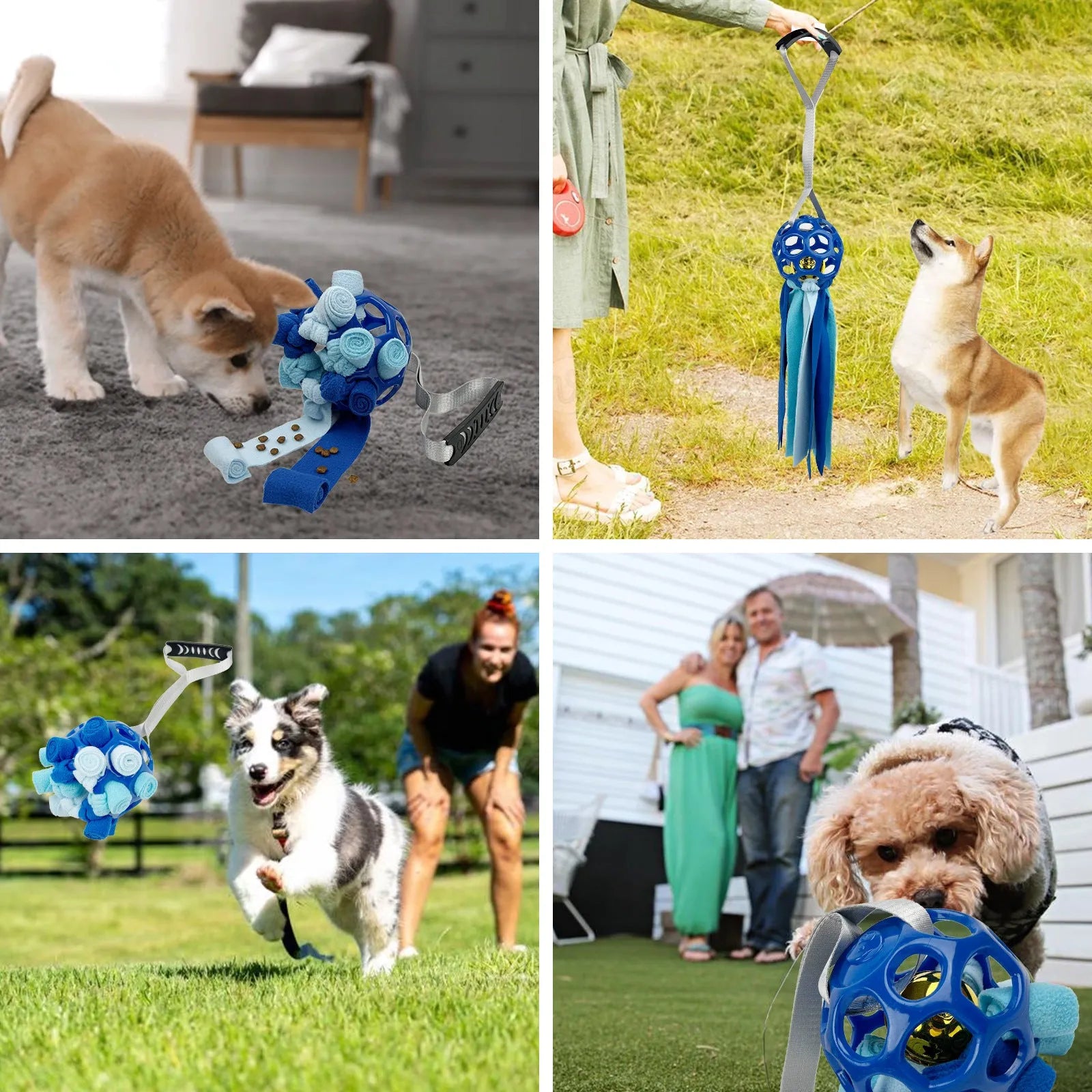 Interactive hollow ball pet toy with TPR sound mechanism in multiple colours for dogs and cats