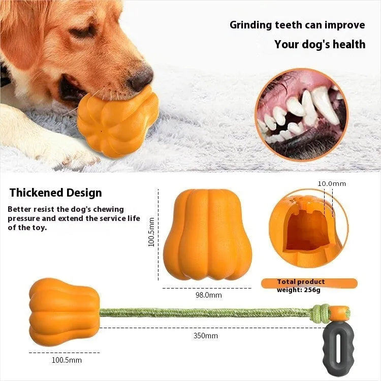Orange plastic Bite Molar dog toy with an attached brown rope handle on a grassy background.