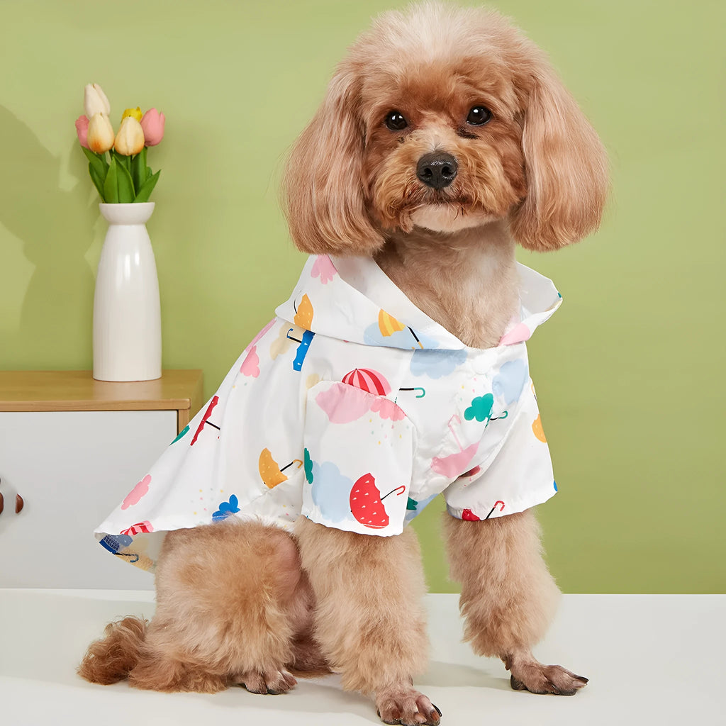 Colourful cartoon umbrella print dog raincoat in polyester, shown in size L.