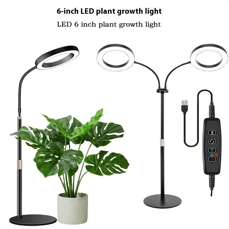 6-inch angel ring LED plant grow light on retractable floor stand with adjustable 160cm holder