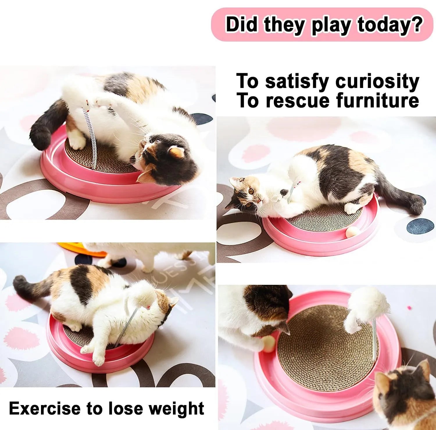 Blue interactive cat scratcher toy with ball track and replaceable corrugated cardboard scratching pad