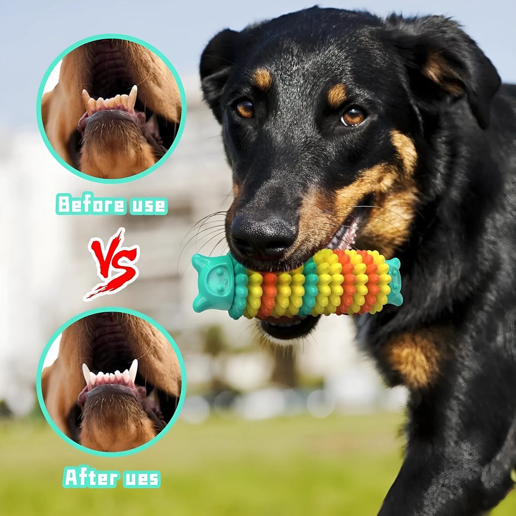 Blue green pink caterpillar-shaped natural rubber chew toy for dogs on a white background