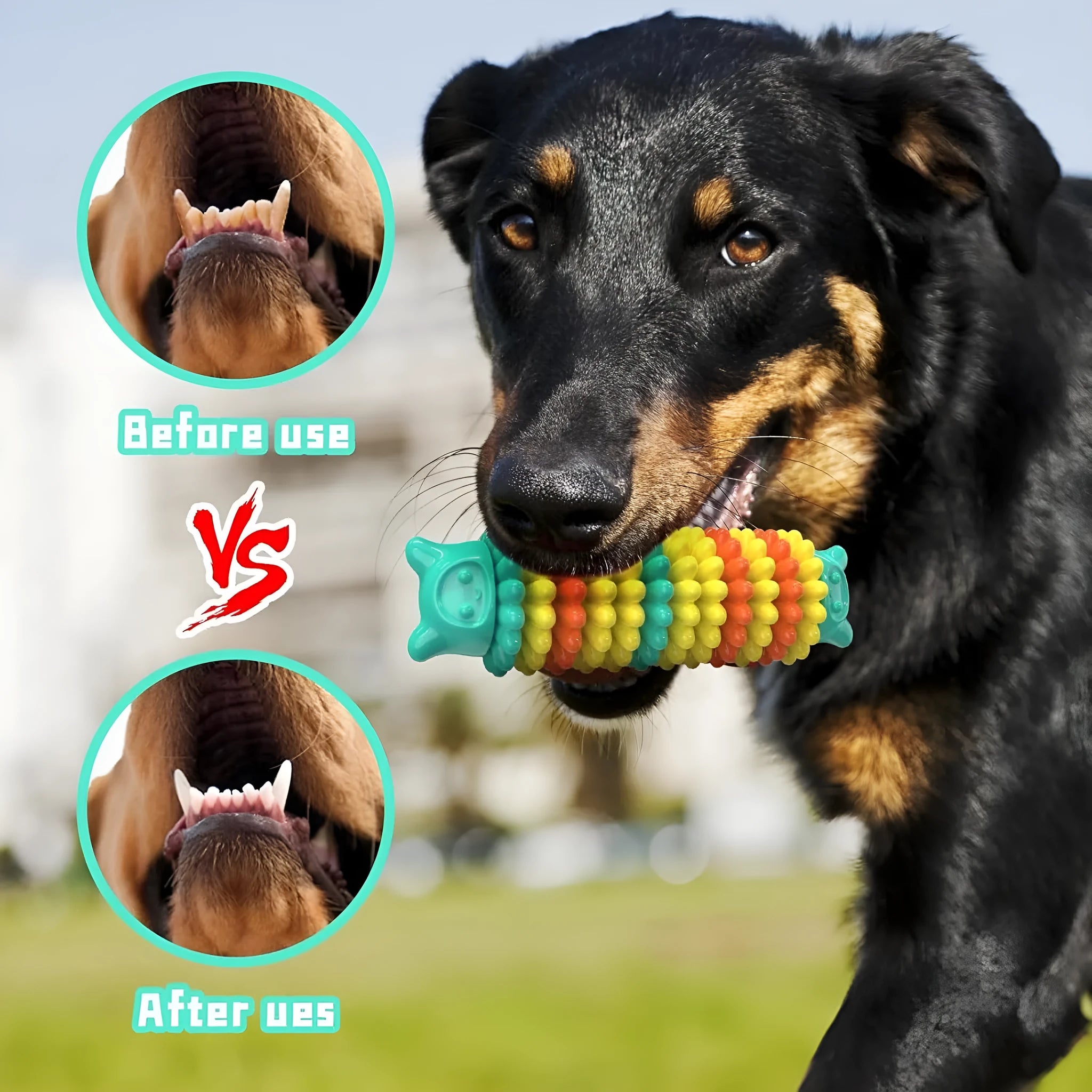 Blue green pink caterpillar-shaped natural rubber chew toy for dogs on a white background