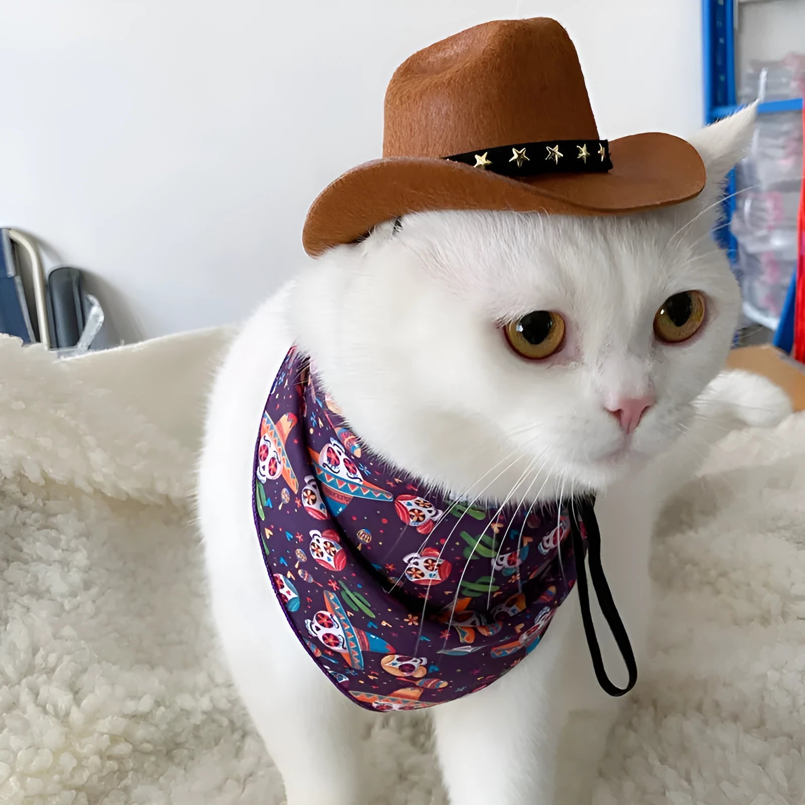 British cat cowboy hat pet costume accessory in multiple colour options with velvet belt, ribbon and rope trim decorations