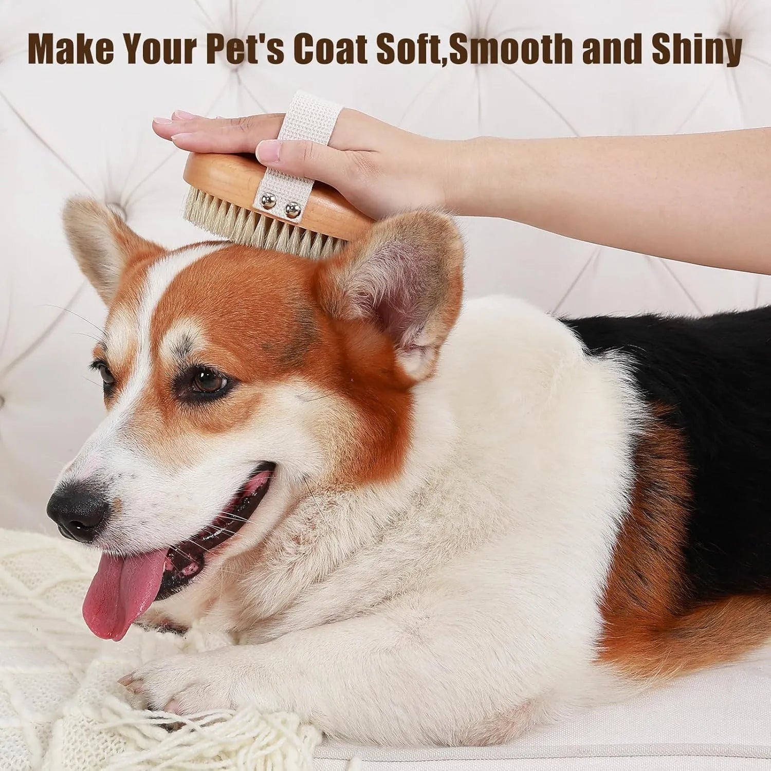 Soft natural boar bristle pet palm brush on beech wood handle for short haired dogs and cats gentle grooming
