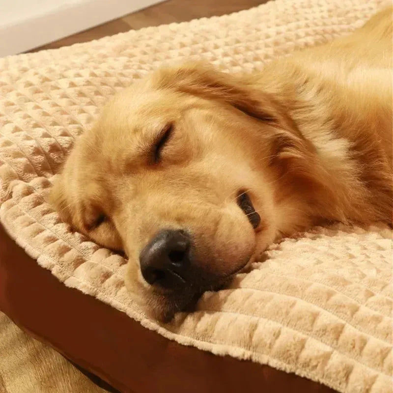 Warm fleece dog bed with detachable blanket in coffee colour