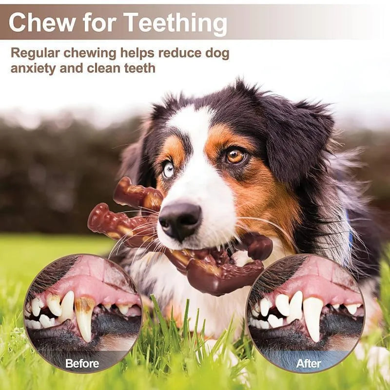 Scarlet red beef-flavoured nylon dog molar chewing toy measuring 10.7 x 17.2 x 5 cm
