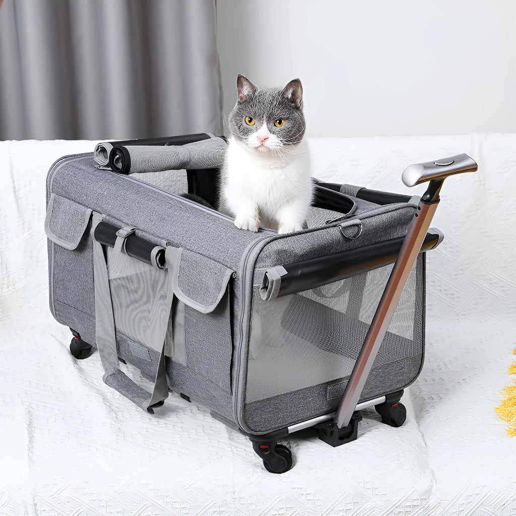 Fashion personalized foldable cat pet trolley bag in solid colour Oxford fabric, 17.50kg load capacity