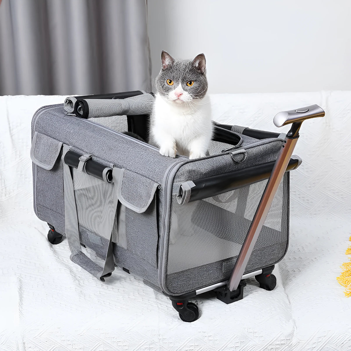 Fashion personalized foldable cat pet trolley bag in solid colour Oxford fabric, 17.50kg load capacity