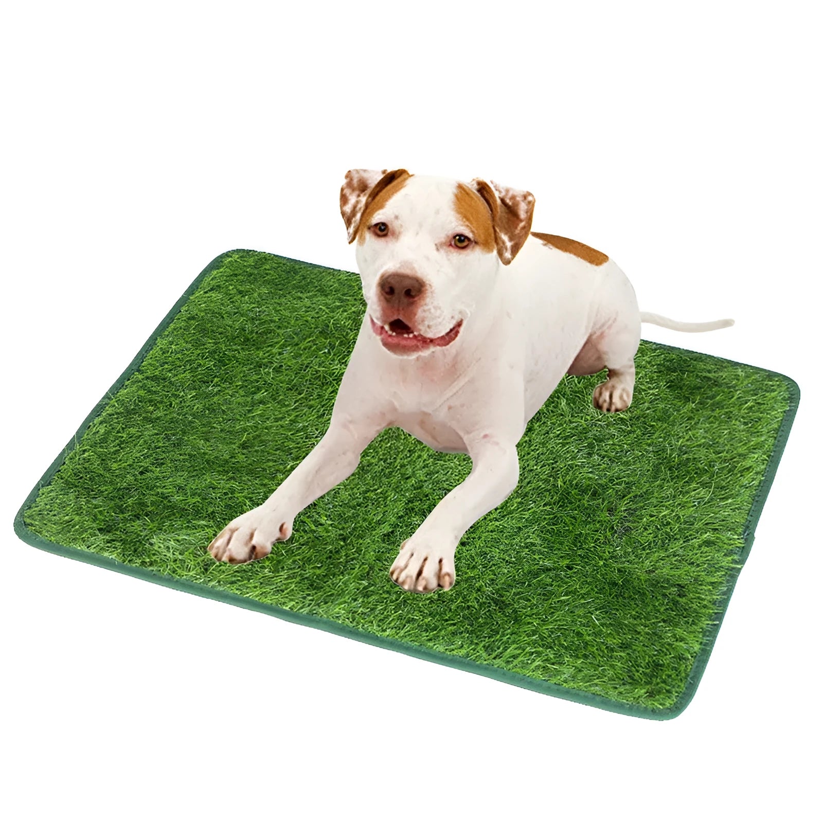 Green realistic dog grass pee pad with drainage-layer for potty training