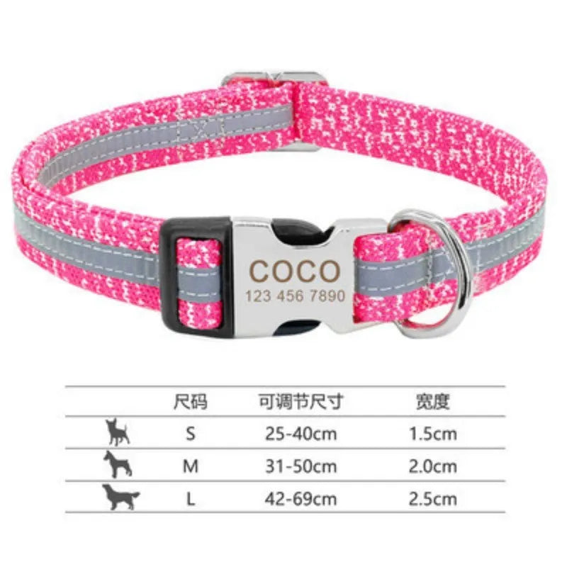 Nylon dog collar with metal buckle shown in black, green, and rose red colours.