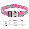 Nylon dog collar with metal buckle shown in black, green, and rose red colours.