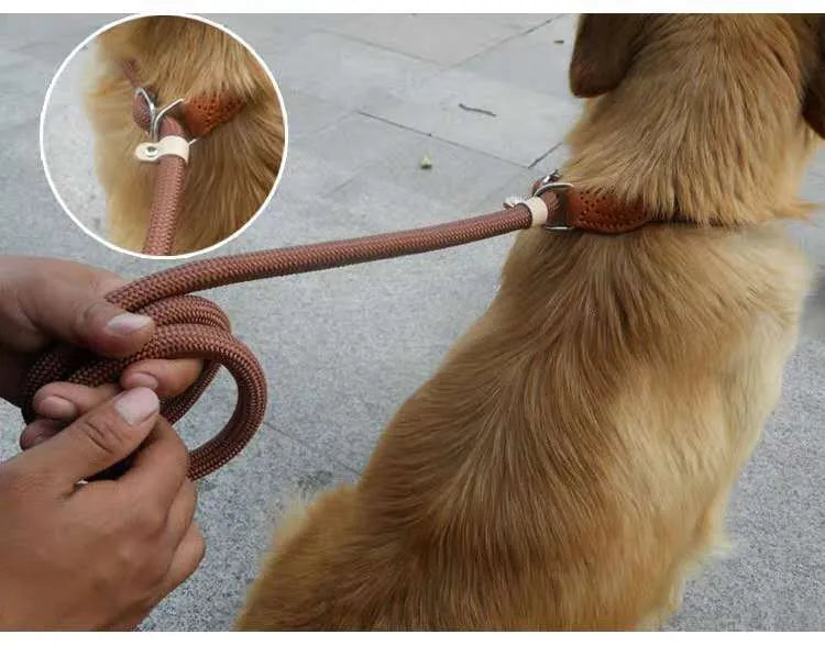 Brown nylon dog leash with P-chain attachment measuring 2.1 metres long
