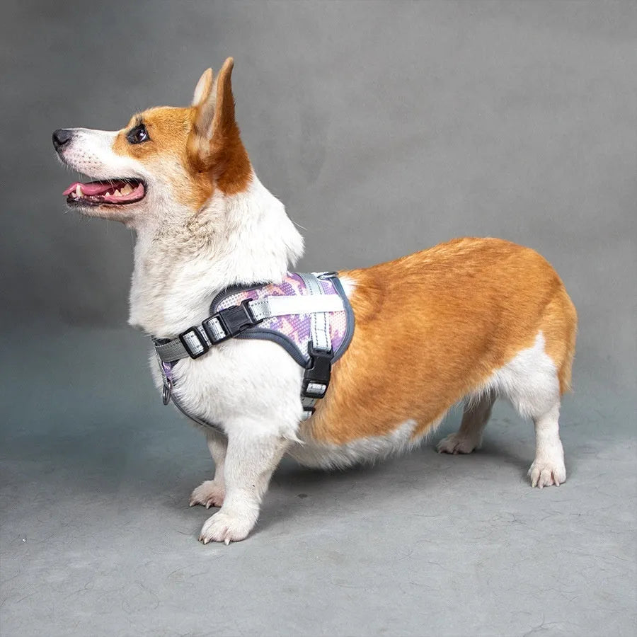 Colourful reflective dog harness with safety neck protection in ankela red, dark blue, or camouflage patterns