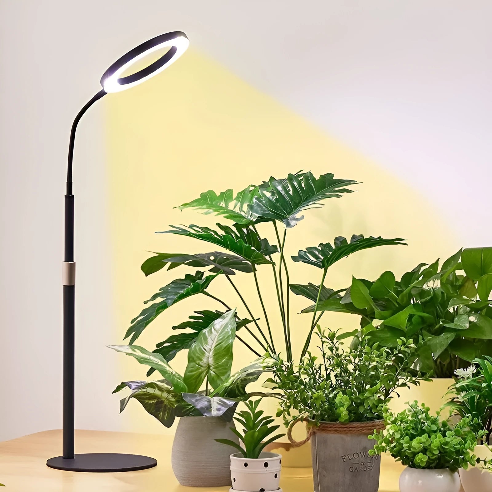 6-inch angel ring LED plant grow light on retractable floor stand with adjustable 160cm holder
