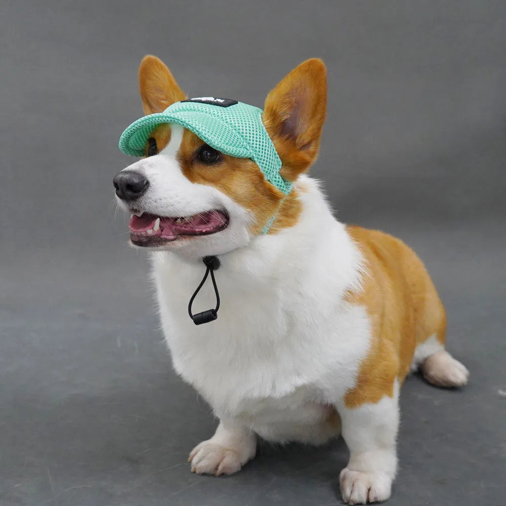 Breathable sandwich net dog hat with ear holes in green or pink, sizes XS to XL