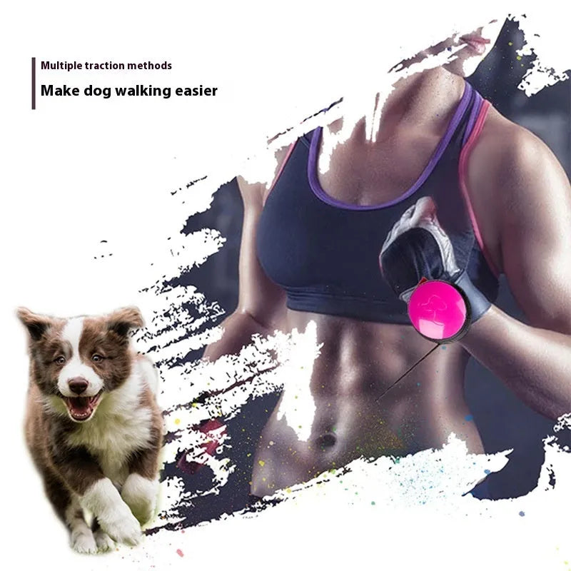 3-metre automatic retractable dog leash in six colour options with breakaway safety mechanism