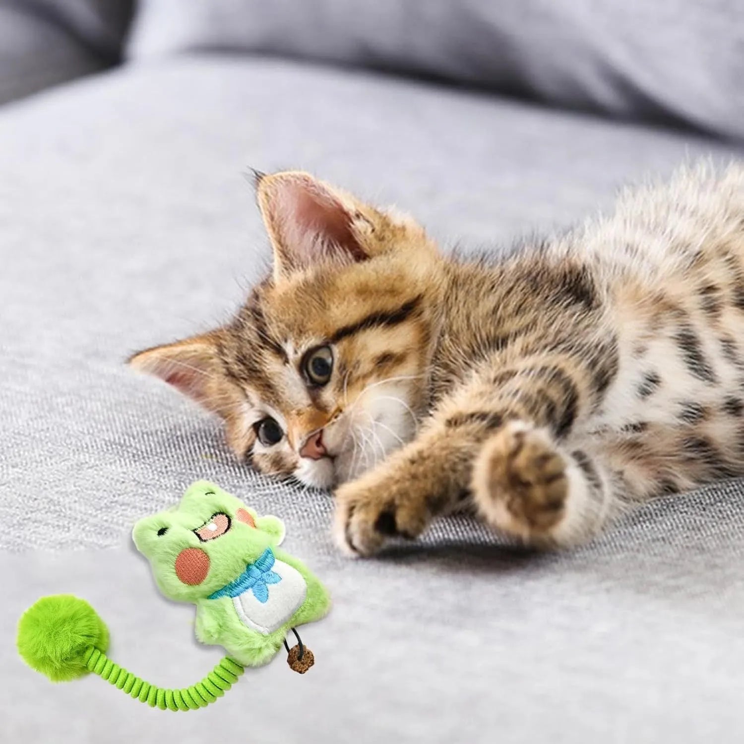 Plush cat toys with silvervine fruit and stretch springs in animal designs including frog, pig, star, rabbit, chicken, and panda