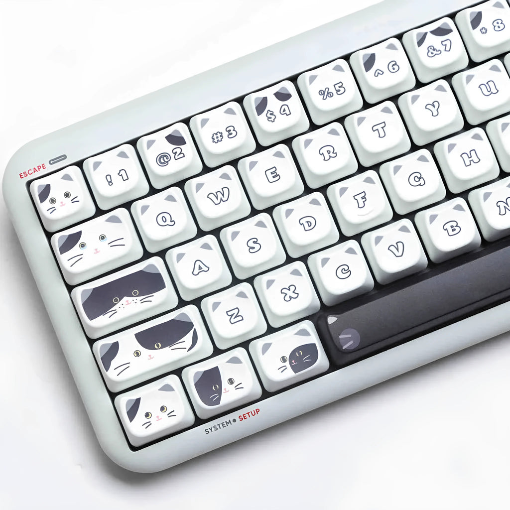 Black and white kitten sublimation PBT key cap set in boxed packaging, full layout excluding 7u and March space keys